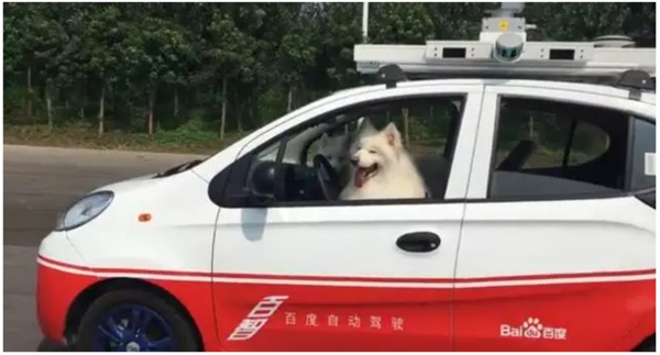 國內(nèi)外無人駕駛是什么水平？